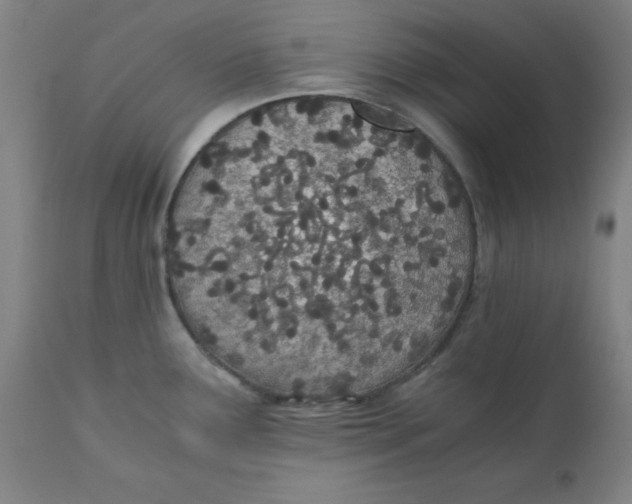 X0000110671291200907021837