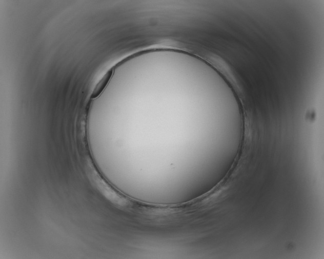 X0000110671292200907021837