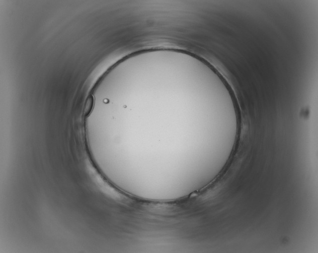 X0000110671293200907021837