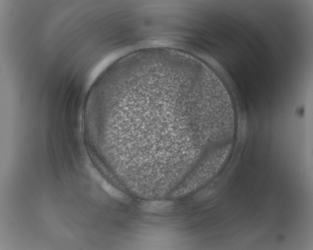 X0000110671294200907021837
