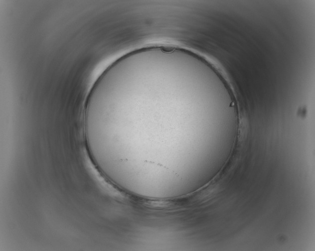 X0000110671295200907021837