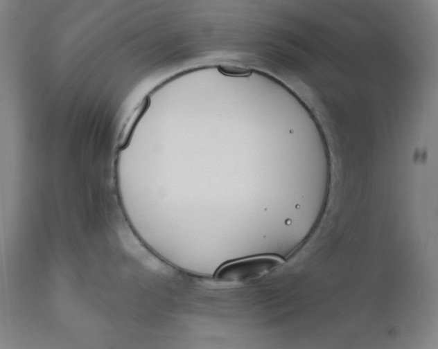 X0000110671296200907021837