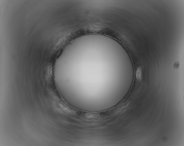 X0000110671299200907021836