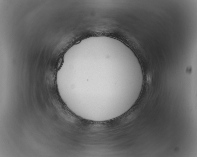 X0000110671300200907021836