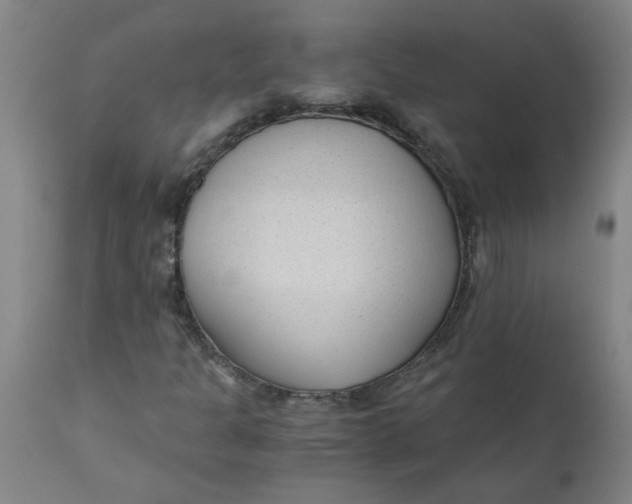 X0000110671301200907021836