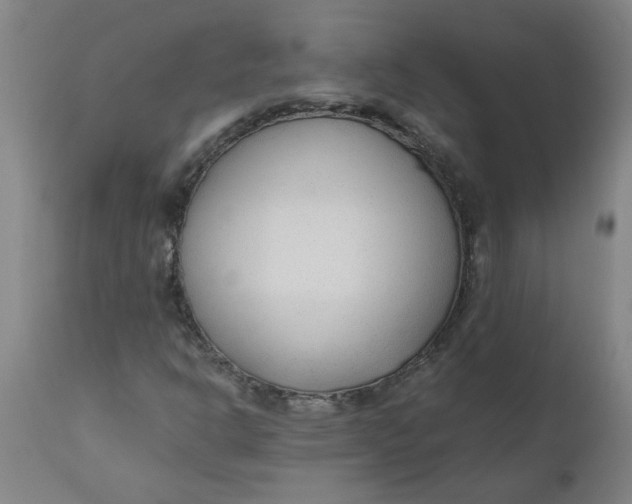 X0000110671302200907021836