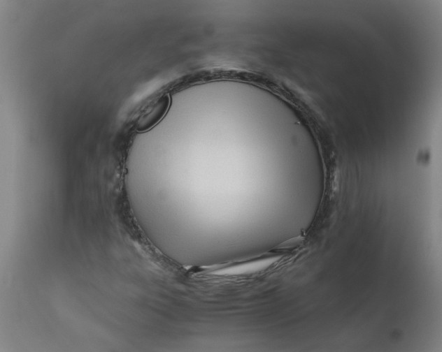 X0000110671303200907021836