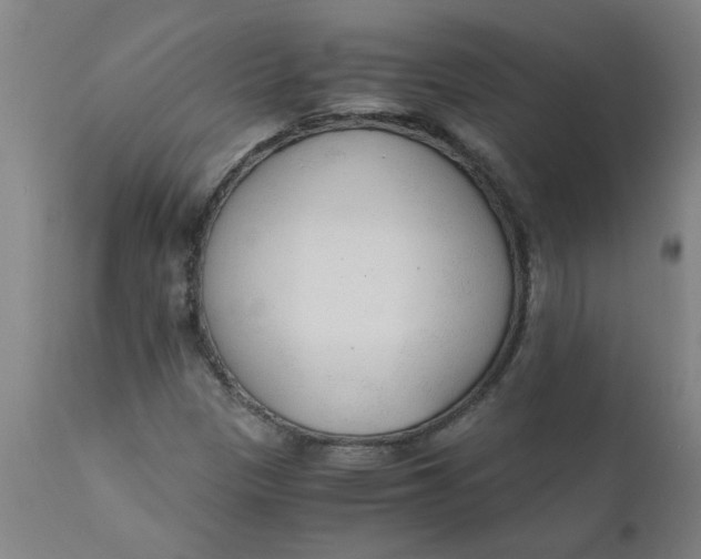X0000110671305200907021836