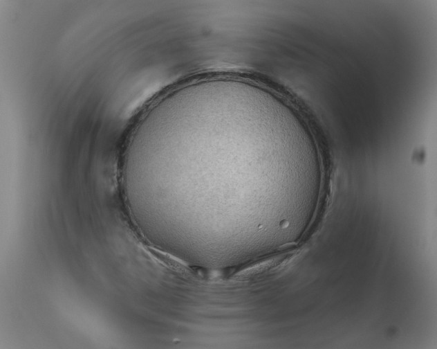 X0000110671306200907021836