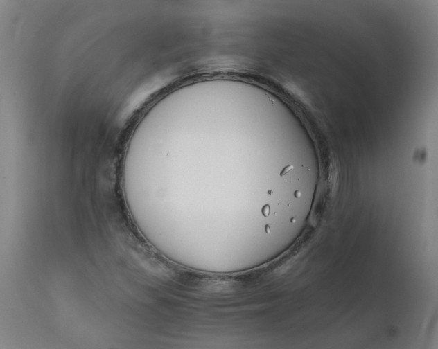 X0000110671309200907021836