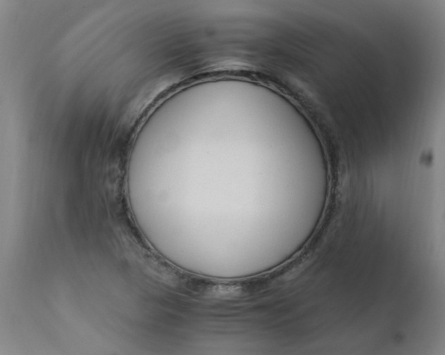 X0000110671313200907021836