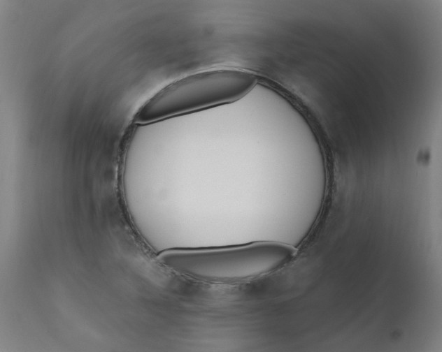 X0000110671316200907021837