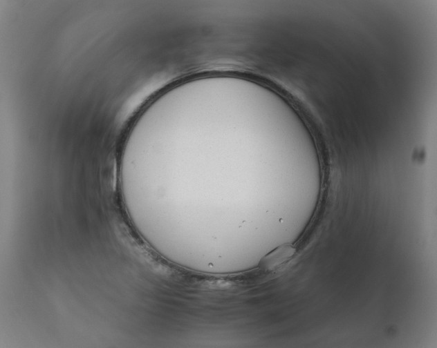 X0000110671317200907021837