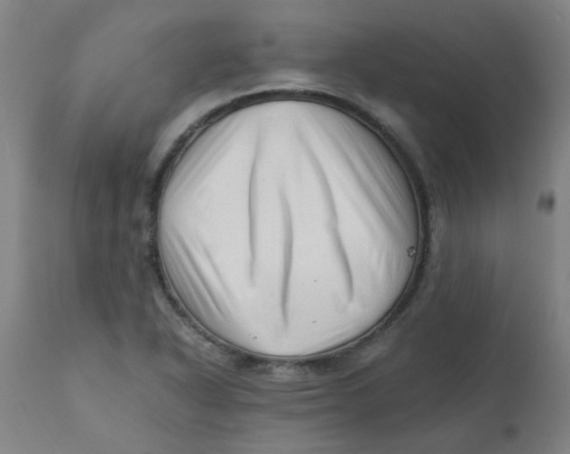 X0000110671318200907021837