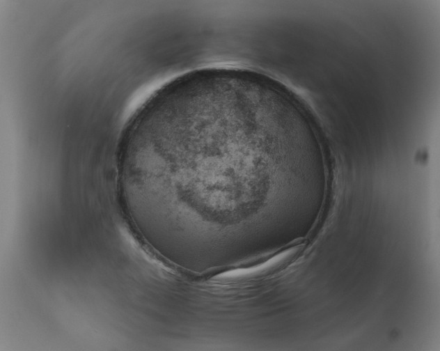 X0000110671319200907021837