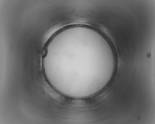 X0000110671320200907021837