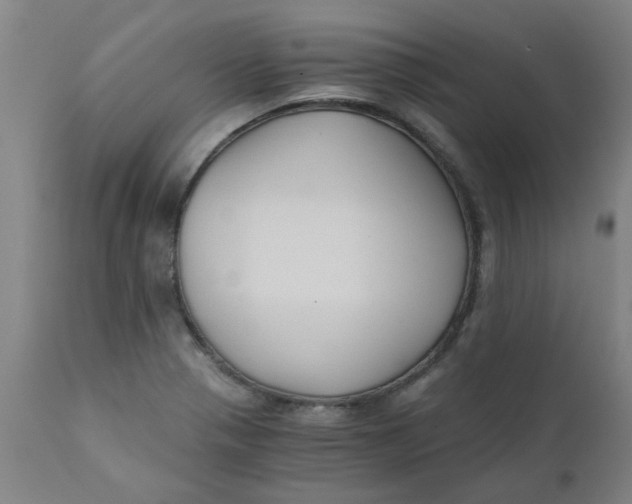 X0000110671321200907021837
