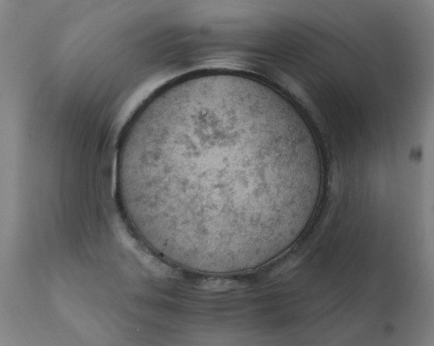 X0000110671323200907021837