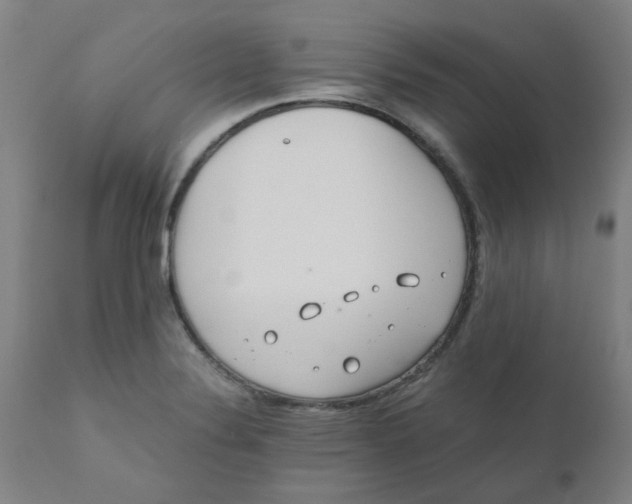 X0000110671324200907021837