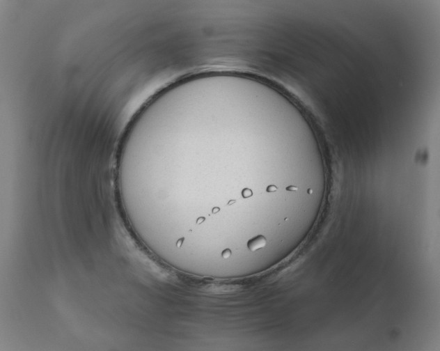 X0000110671325200907021837