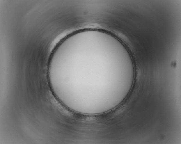 X0000110671326200907021837