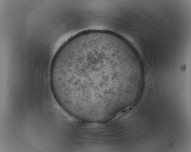 X0000110671327200907021837