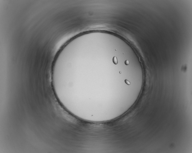 X0000110671328200907021837