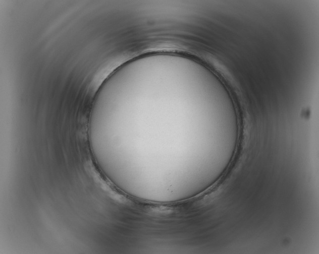 X0000110671329200907021837