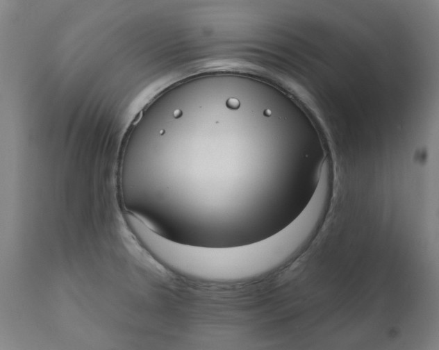 X0000110671330200907021837