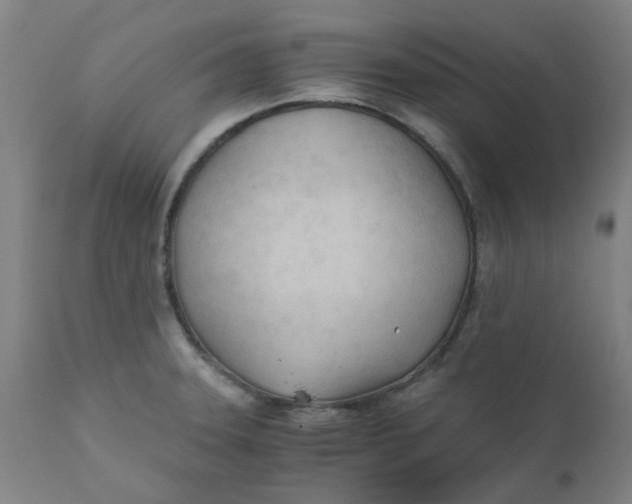 X0000110671331200907021837