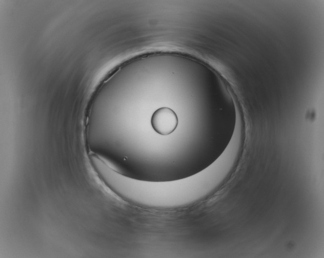 X0000110671334200907021837