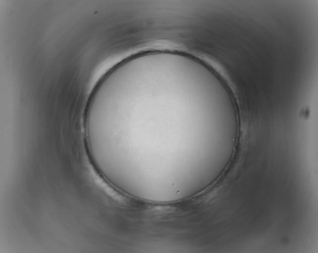 X0000110671335200907021837