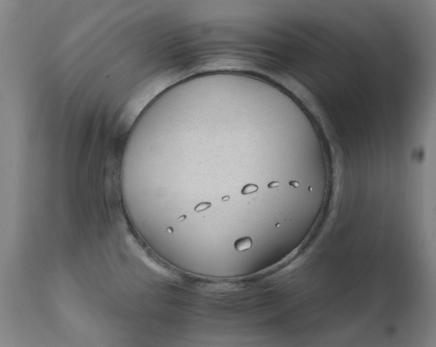 X0000110671337200907021837