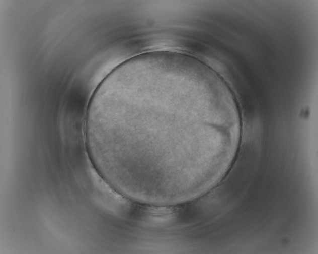 X0000110671338200907021837