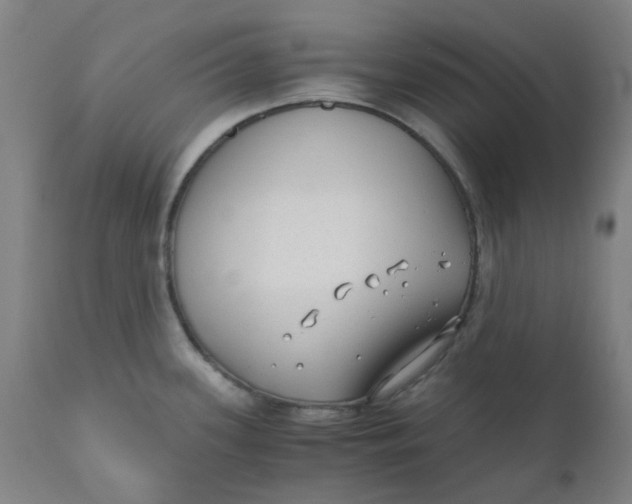 X0000110671339200907021837