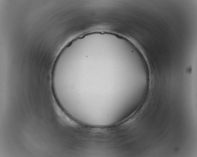 X0000110671341200907021837