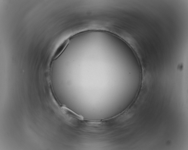 X0000110671342200907021837