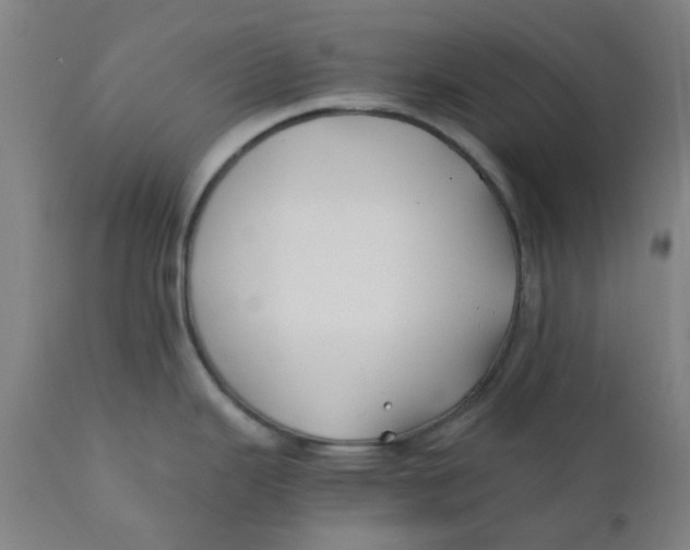 X0000110671343200907021837