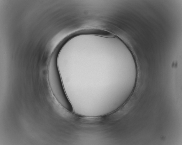 X0000110671344200907021837