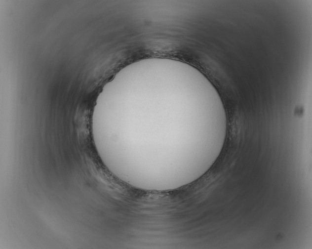 X0000110671346200907021836