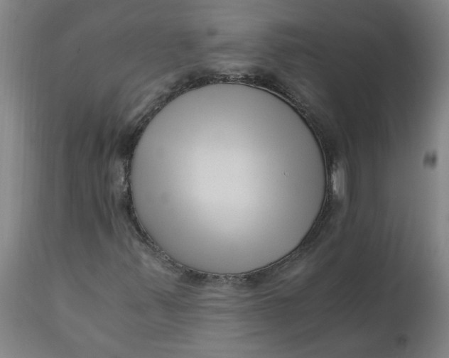 X0000110671347200907021836