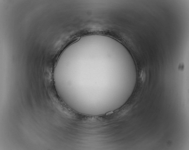 X0000110671348200907021836