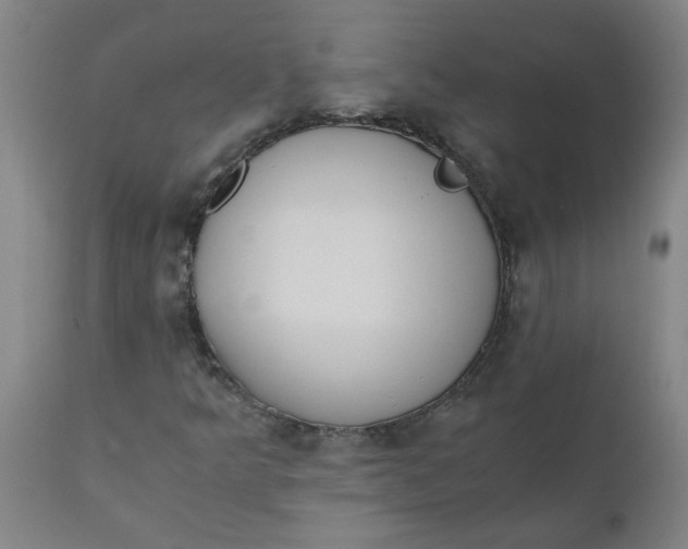 X0000110671349200907021836