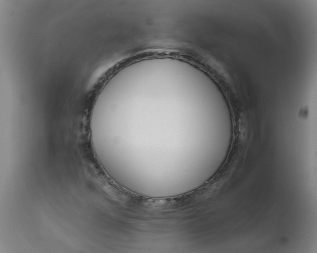 X0000110671352200907021836