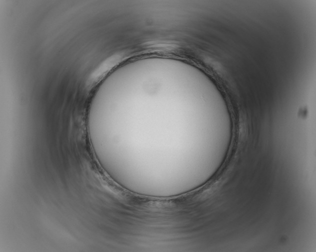 X0000110671354200907021836