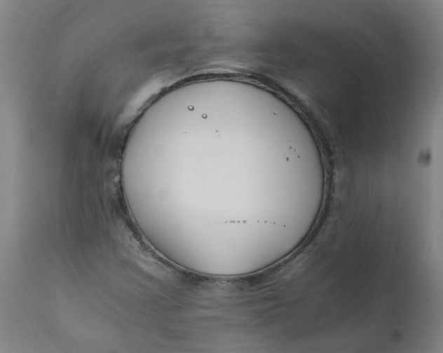 X0000110671355200907021836
