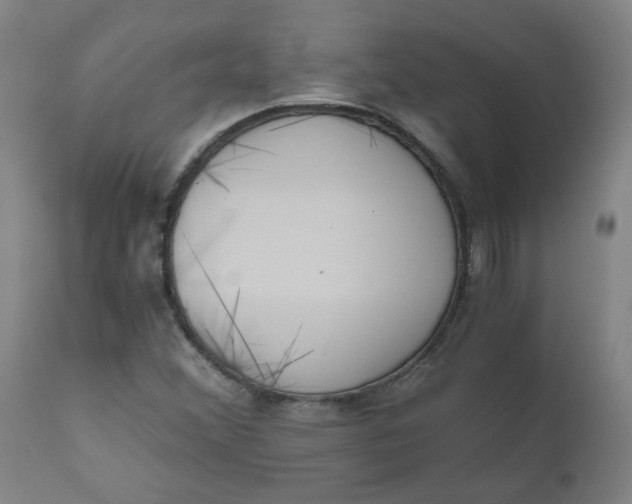 X0000110671356200907021836