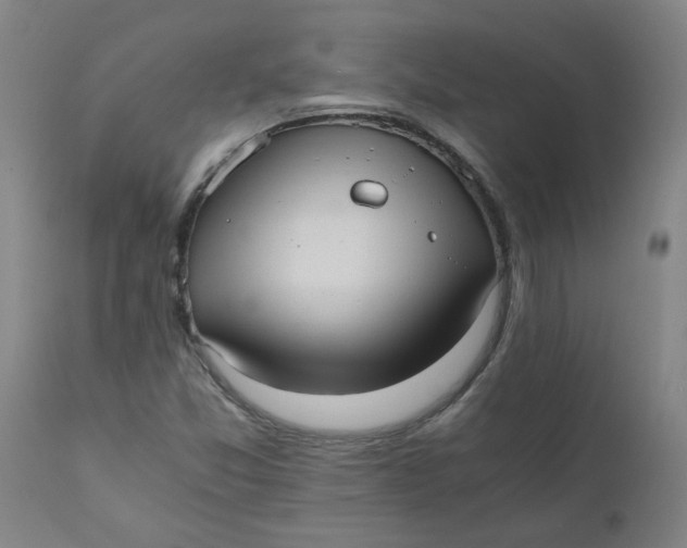 X0000110671357200907021836