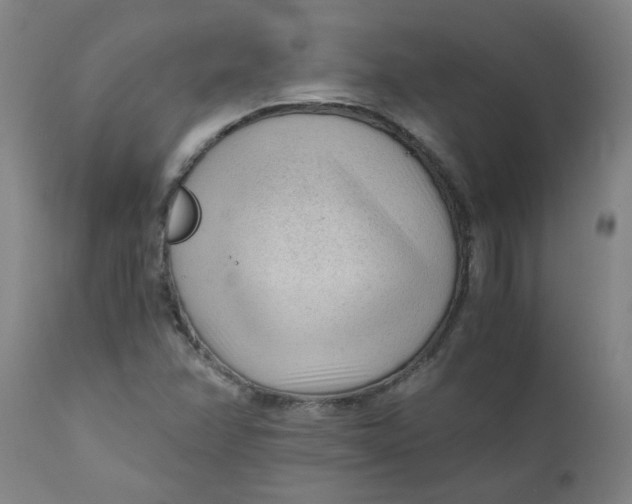 X0000110671358200907021836