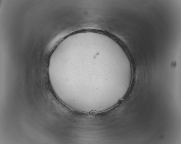 X0000110671359200907021836